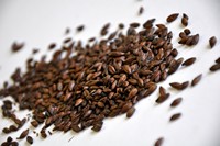 Dark Chocolate (Chile)